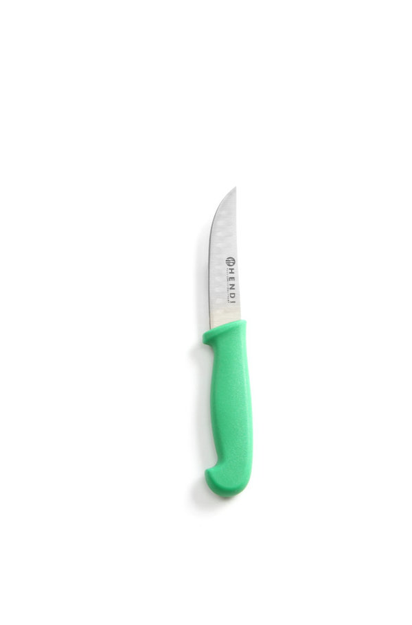 HACCP Messer grün - für Gemüse & Obst - Universalmesser 190/90 mm