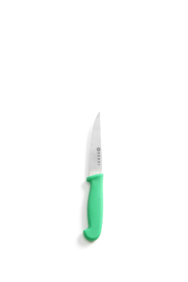 HACCP Messer grün - für Gemüse & Obst - Universalmesser 205/100 mm